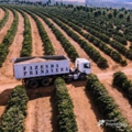 Fazenda-Primavera-2023-NW-3.jpg